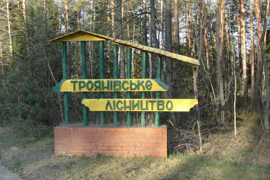 Градиськ з panoramio.com - Градиськ