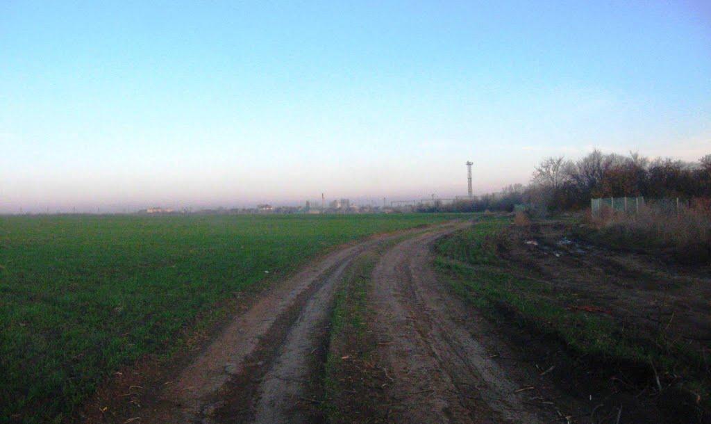 Малодолинське з panoramio.com - Малодолинське