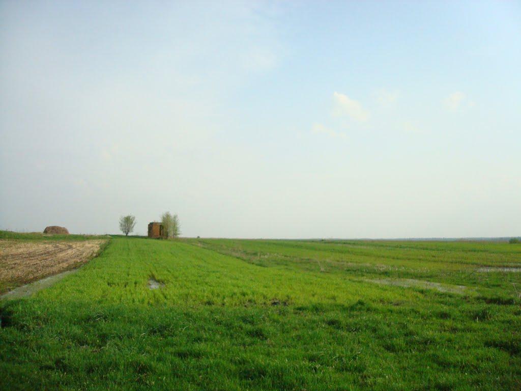 Дроздні з panoramio.com - Дроздні