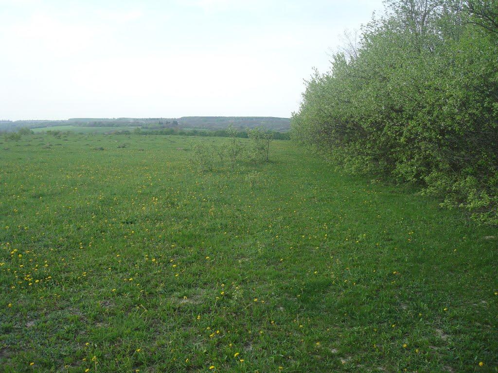 Вільховець з panoramio.com - Вільховець