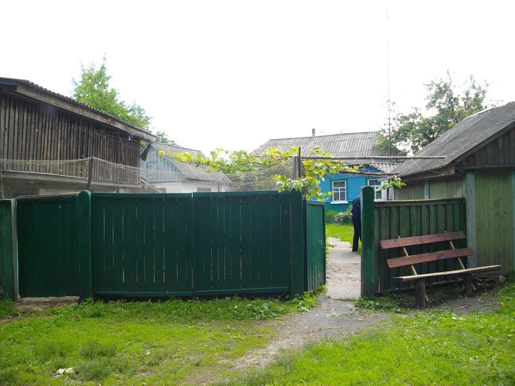 Вільшане з panoramio.com - Вільшане