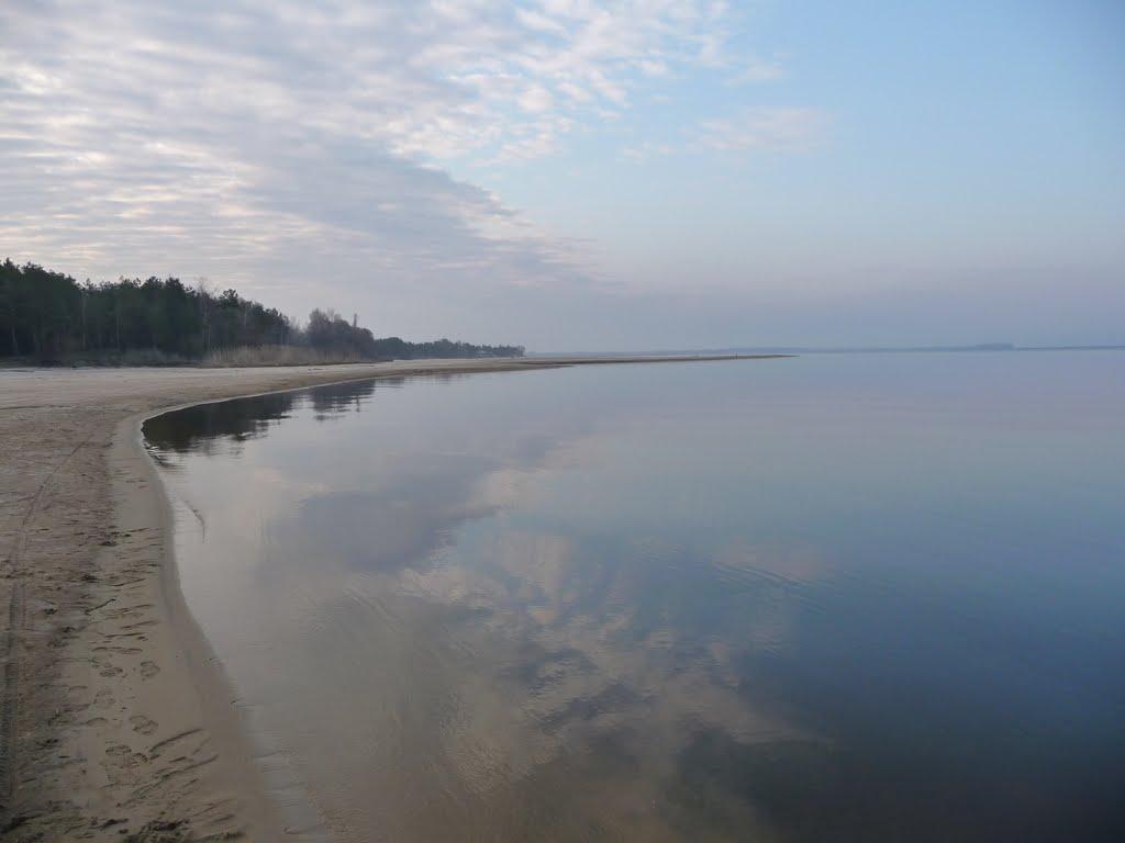 Ровжі з panoramio.com - Ровжі