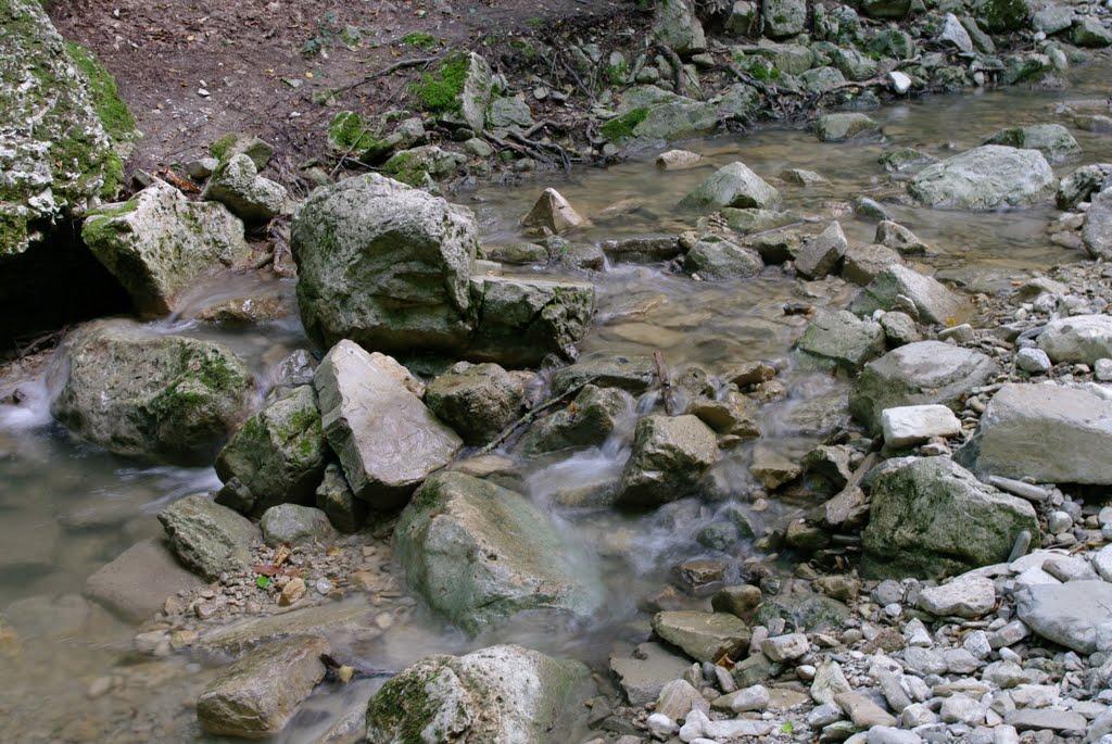 Алексєєвка з panoramio.com - Алексєєвка