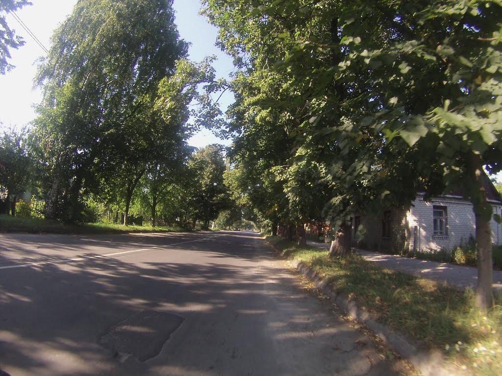 Новоград-Волинський з panoramio.com (ч.3) - Новоград-Волинський