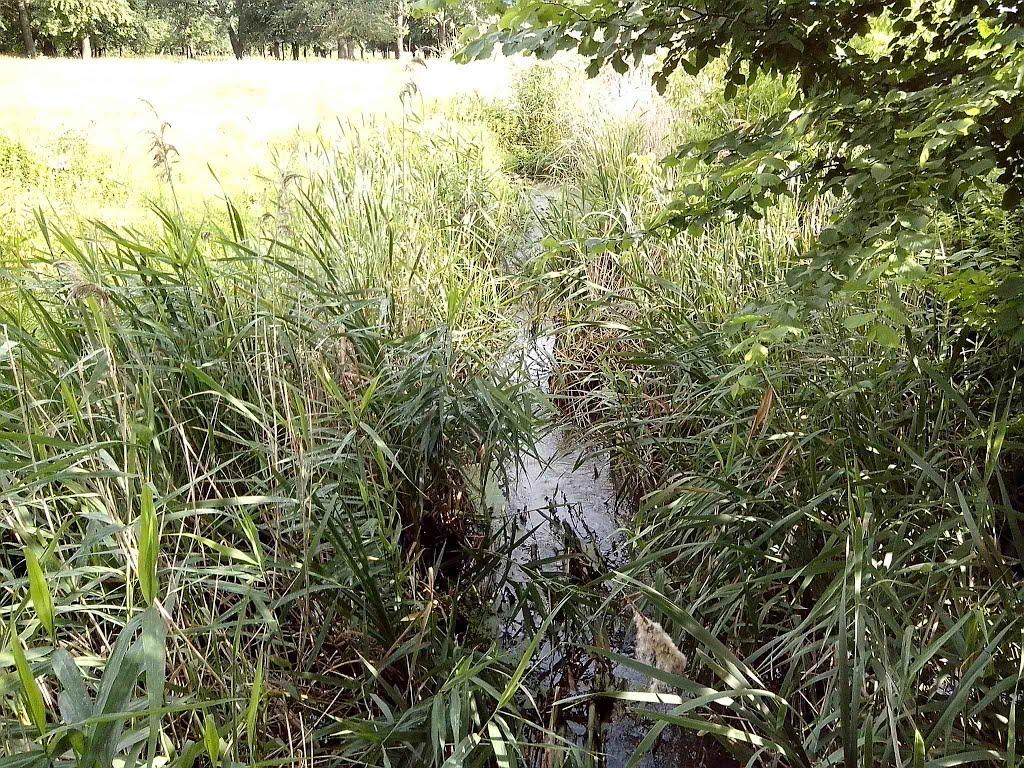 Устивиця з panoramio.com - Устивица