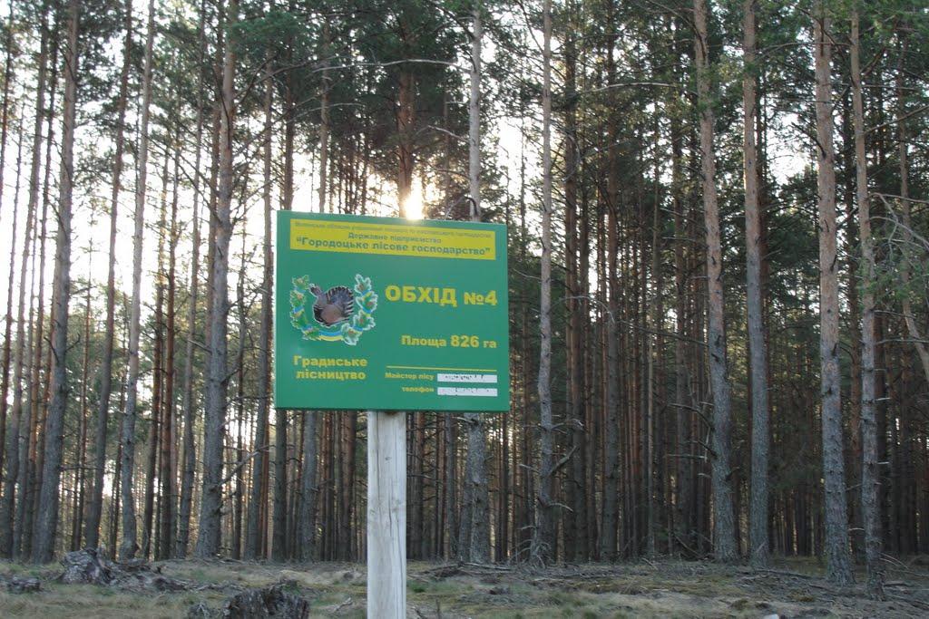 Градиськ з panoramio.com - Gradysk