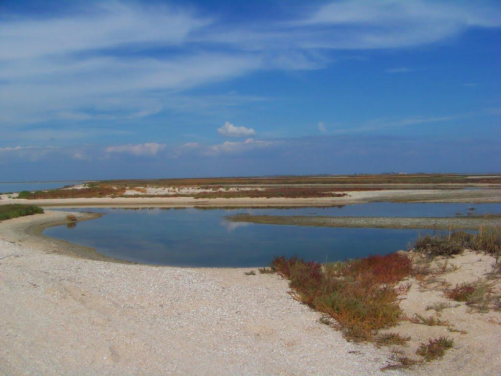 Стрілкове з panoramio.com (ч.2) - Стрелковое
