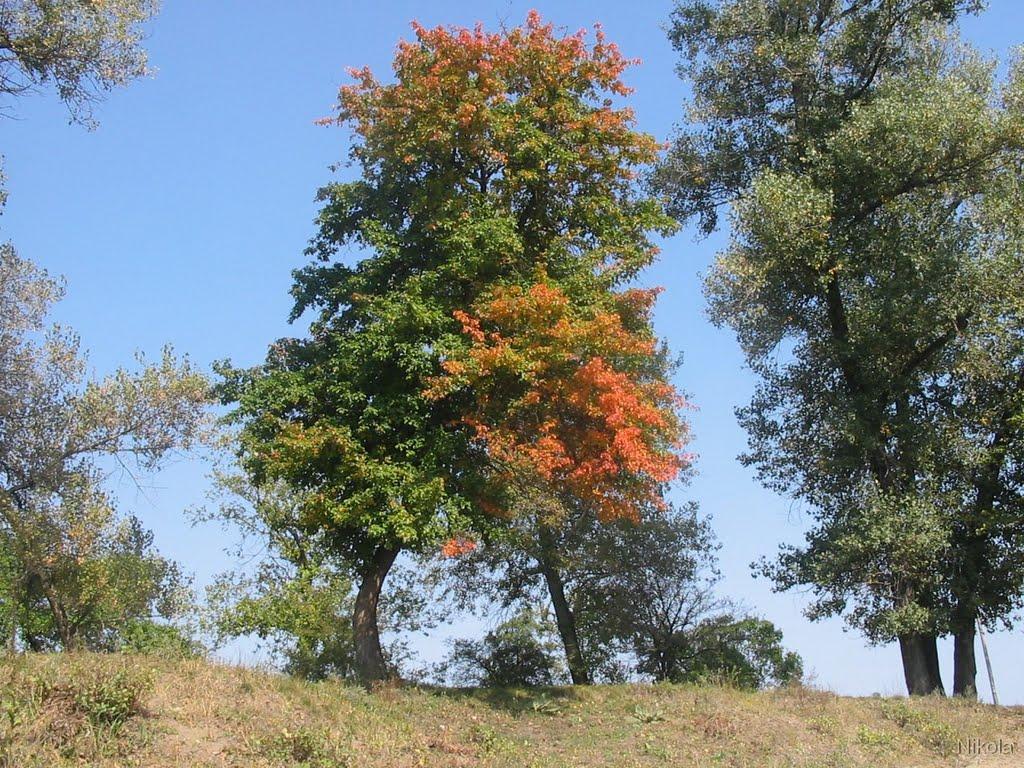 Сєверодонецьк з panoramio.com (ч.3) - Северодонецк