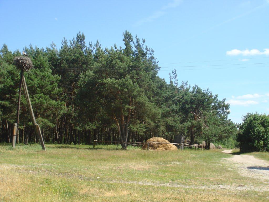 Куликовичі з panoramio.com - Kulykovychi