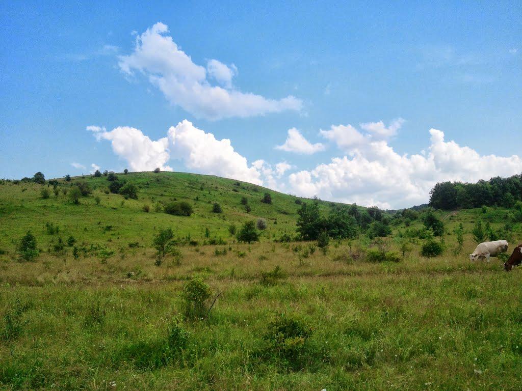 Новоукраїнка з panoramio.com - Новоукраїнка