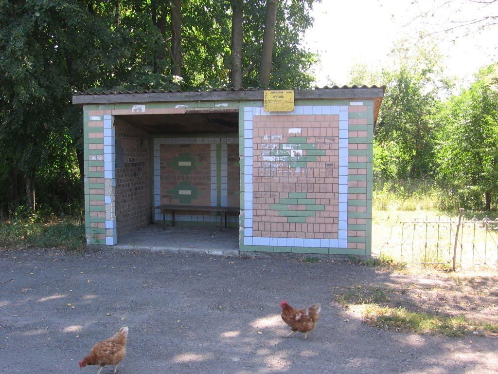 Жовтневий Промінь з panoramio.com - Жовтневый Проминь