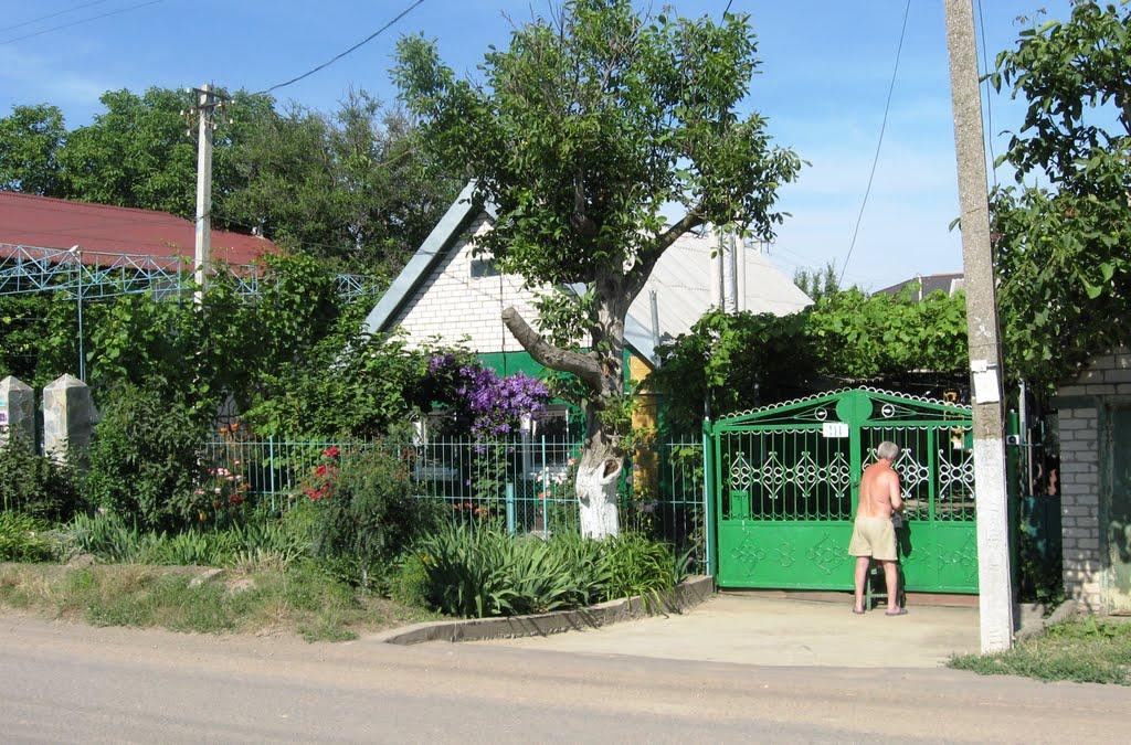 Іллічівськ з panoramio.com (ч.2) - Чорноморськ