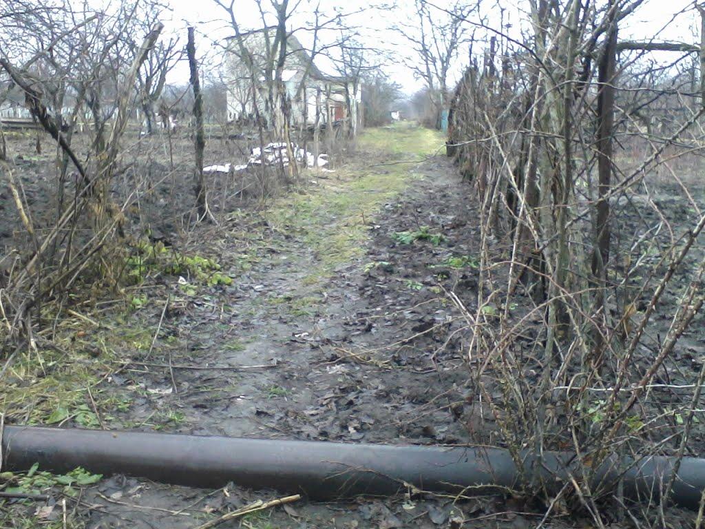 Олександрія з panoramio.com (ч.3) - Олександрія