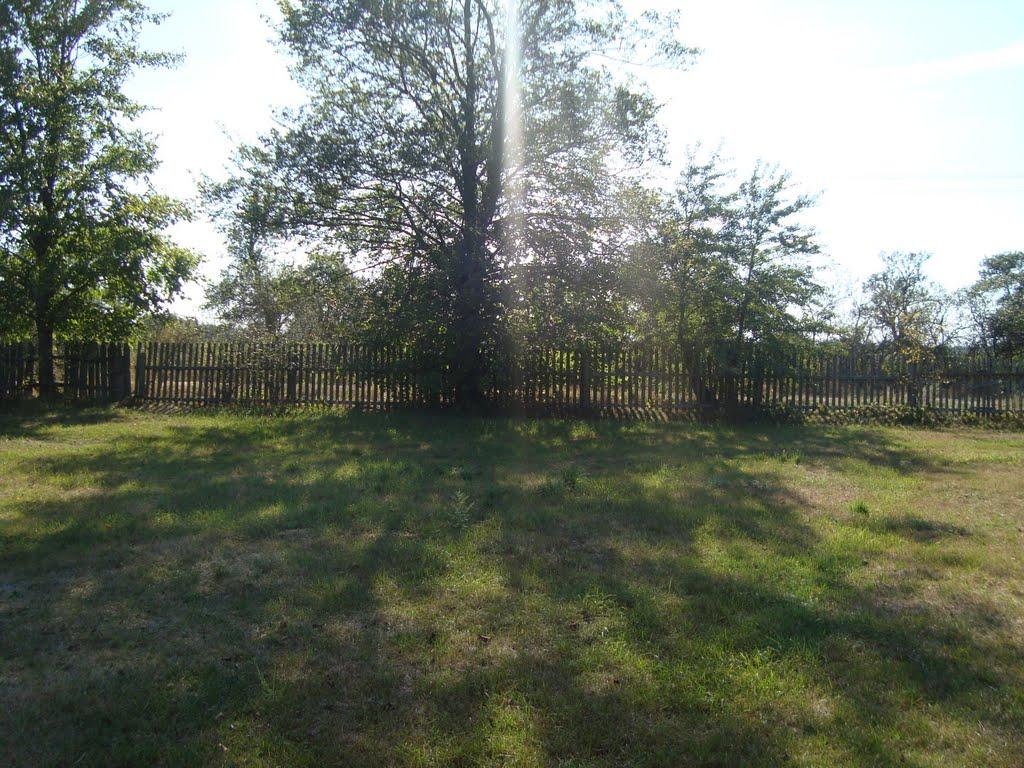 Слобода з panoramio.com - Слобода