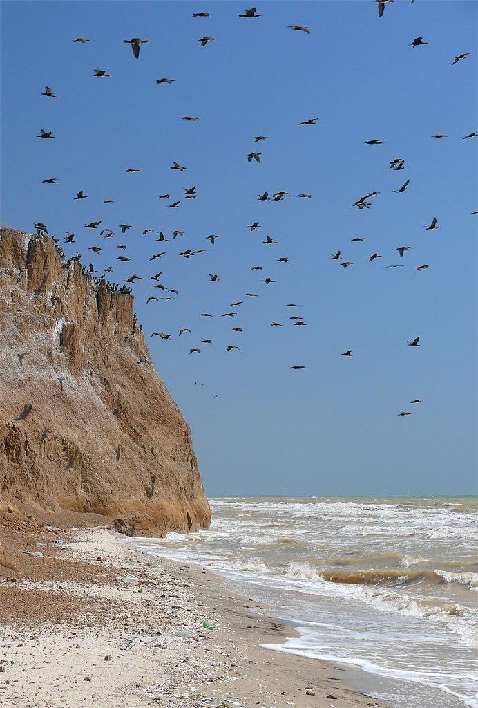 Миронівка з panoramio.com - Миронівка