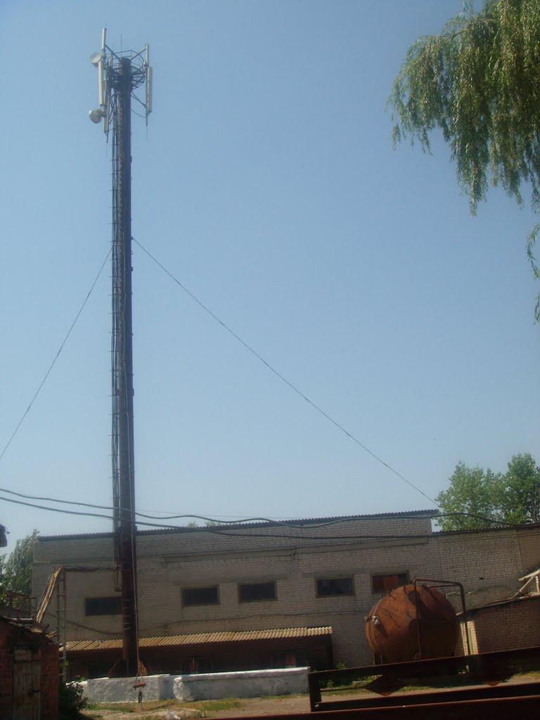 Петропавлівка з panoramio.com - Петропавлівка