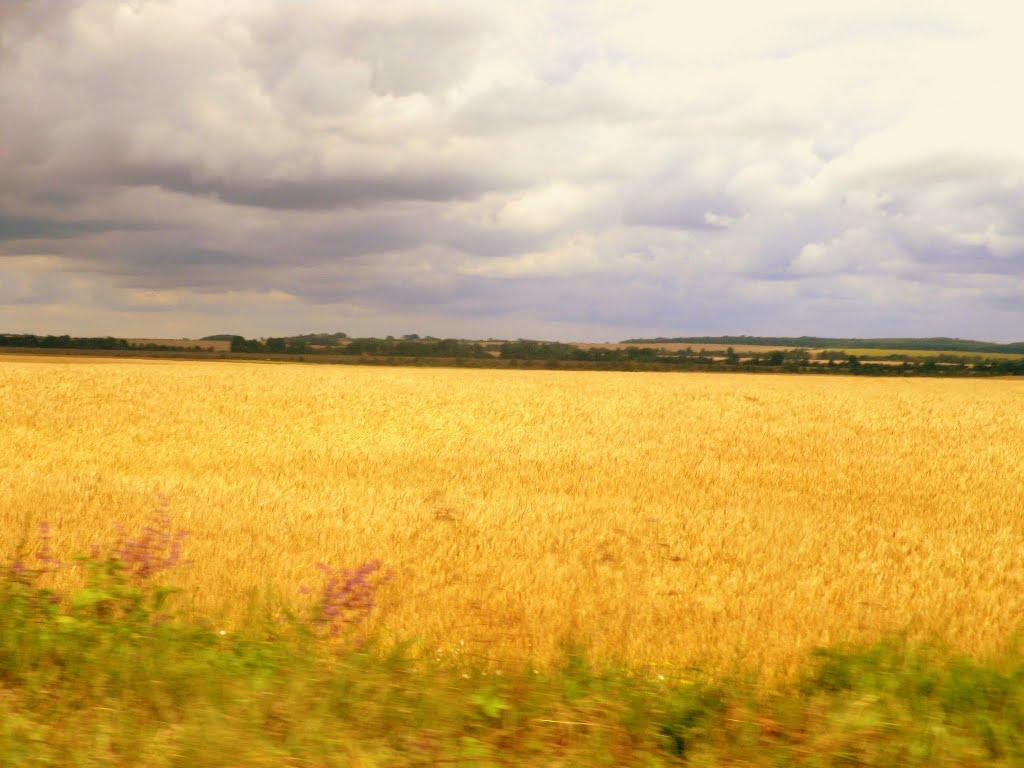 Тернавка з panoramio.com - Тернавка