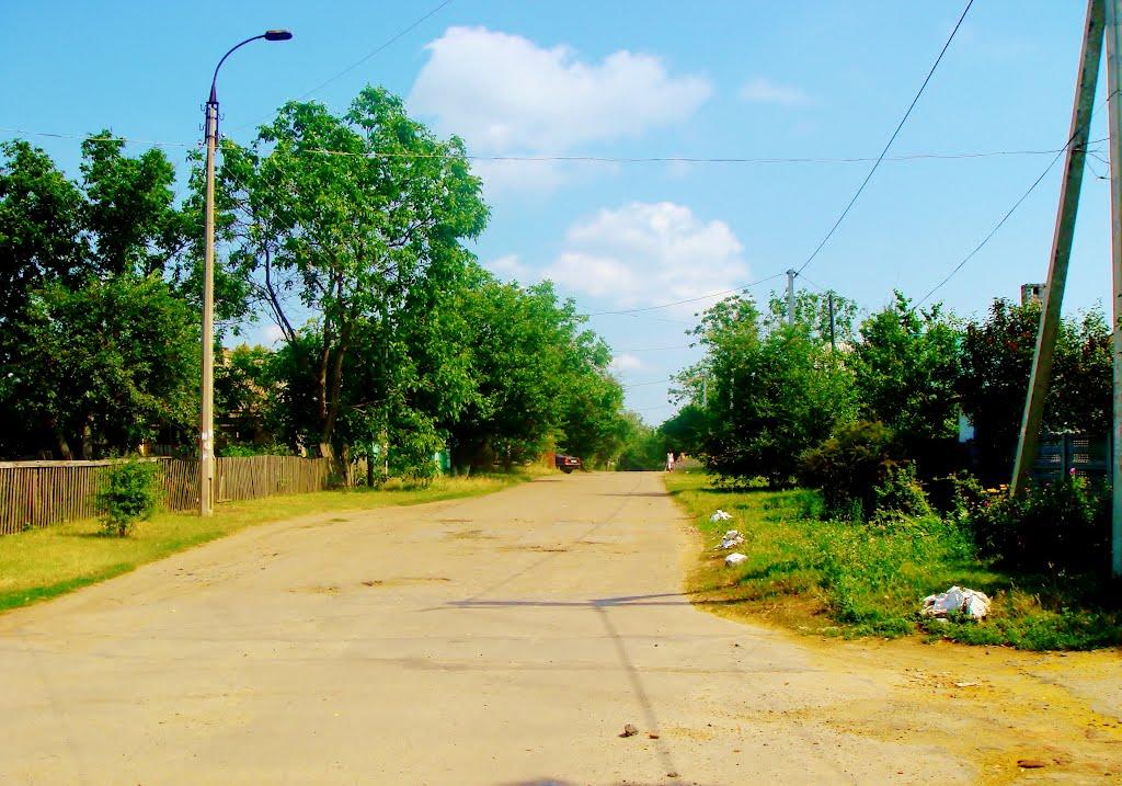Гудзівка з panoramio.com - Gudzivka