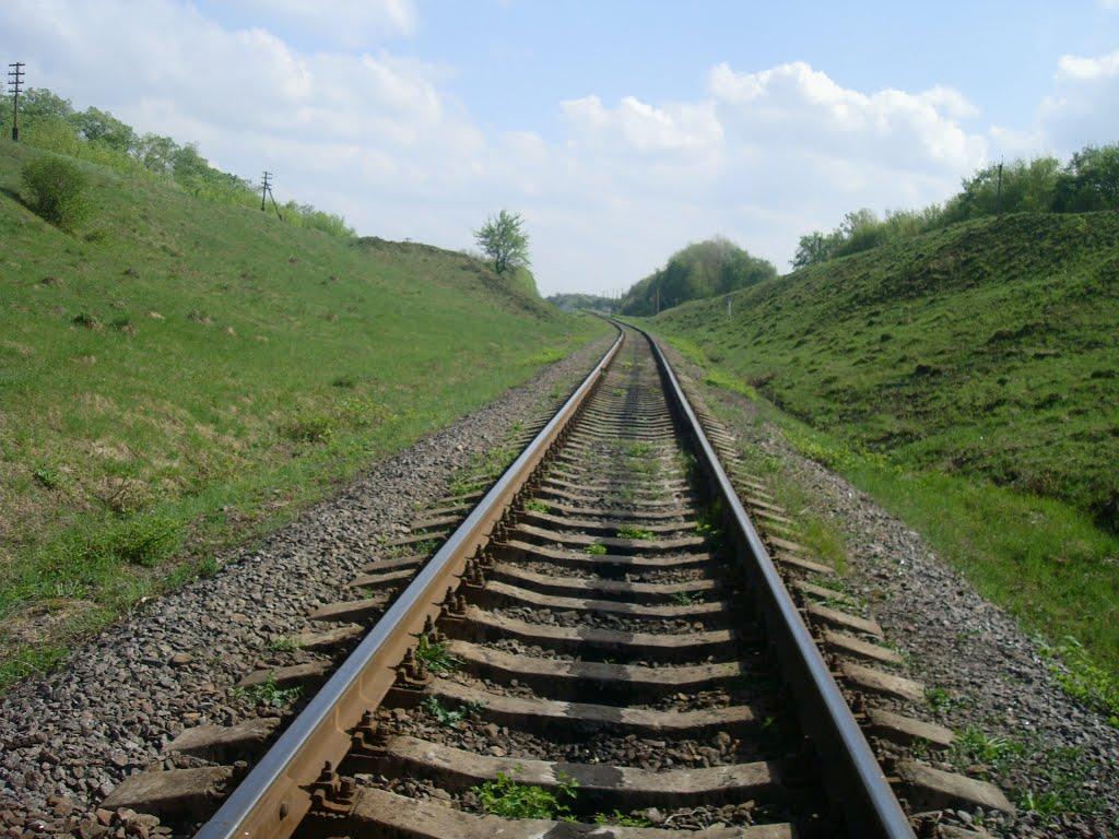 Велика Медведівка з panoramio.com - Велика Медведівка