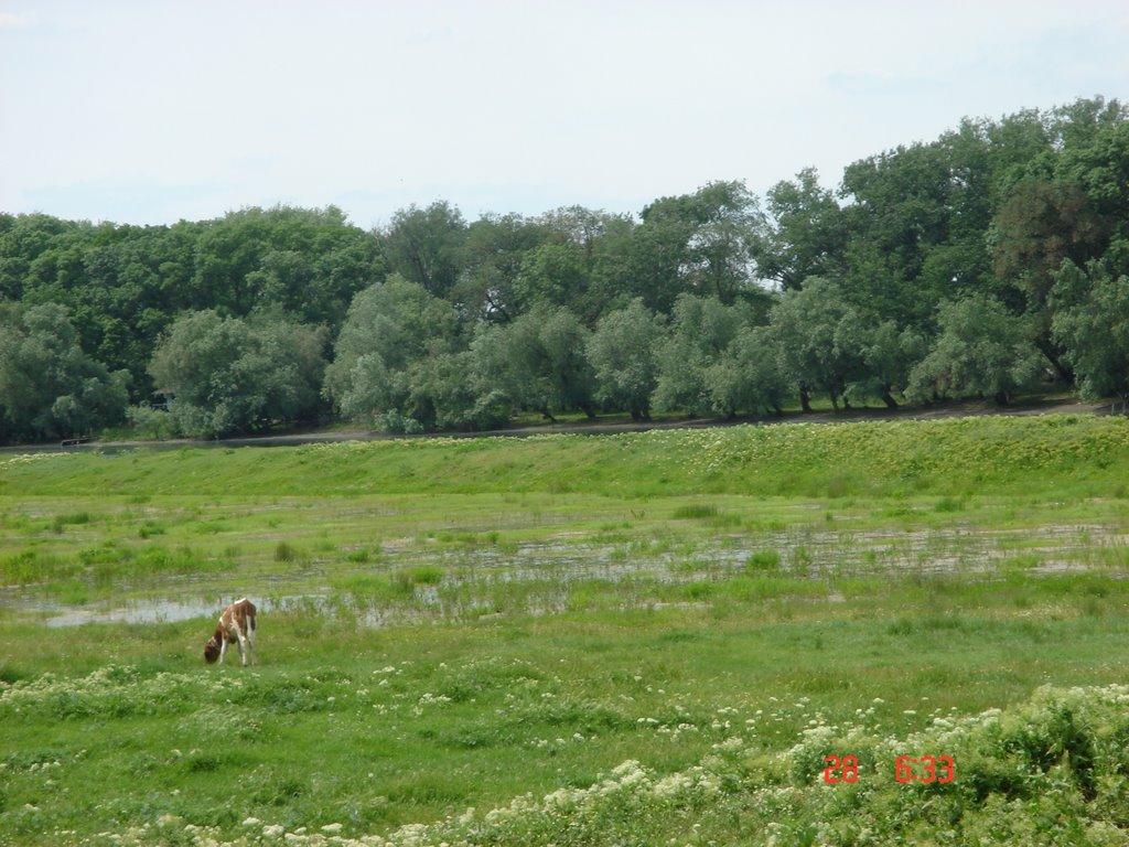 Удобне з panoramio.com - Удобне
