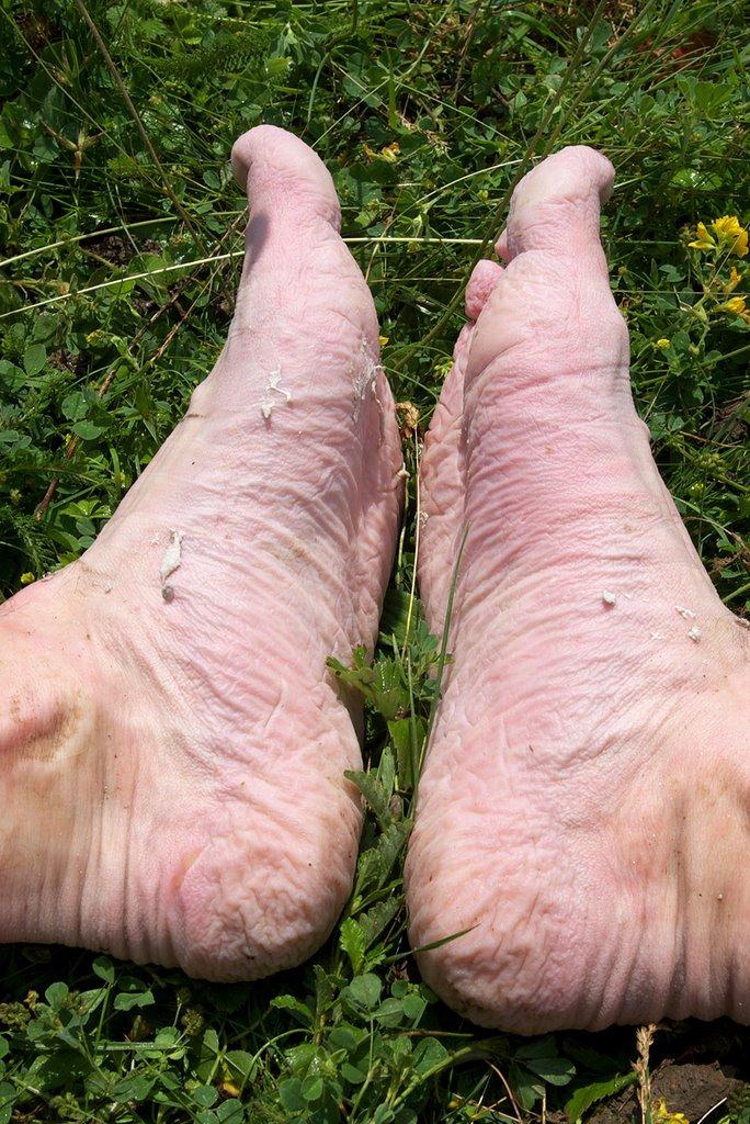 Нефедівці з panoramio.com - Нефедівці