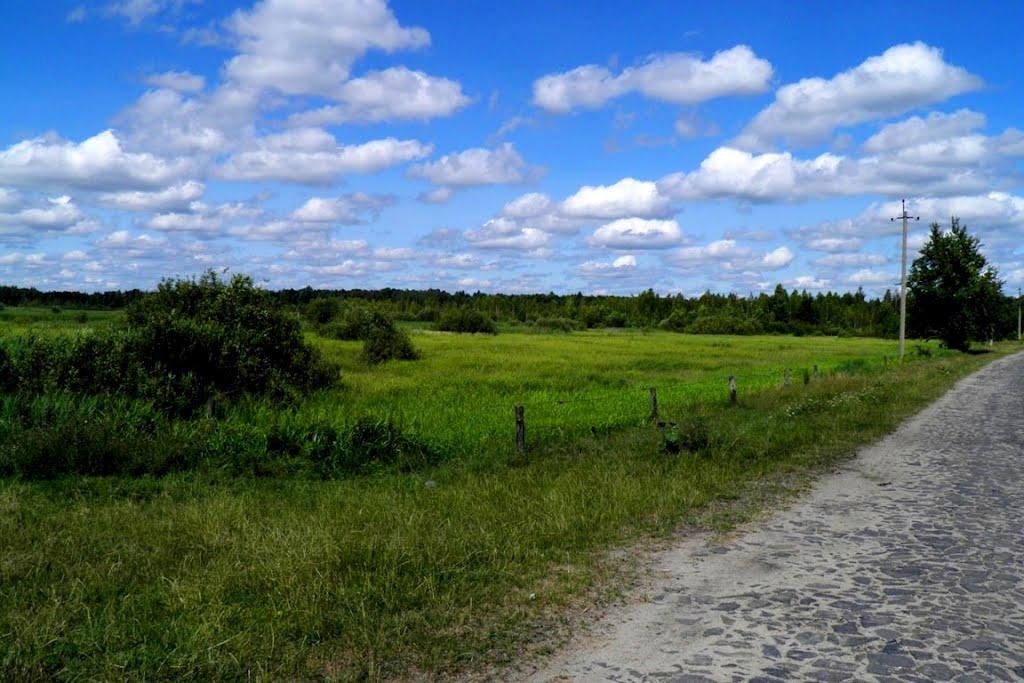 Маневичі з panoramio.com - Маневичи