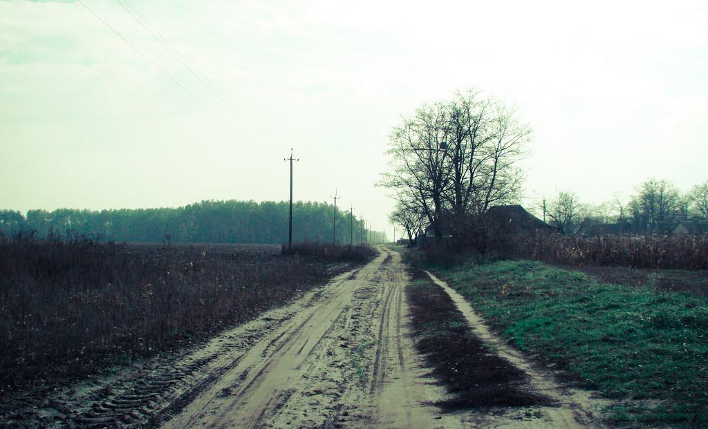 Косарі з panoramio.com (ч.2) - Косари