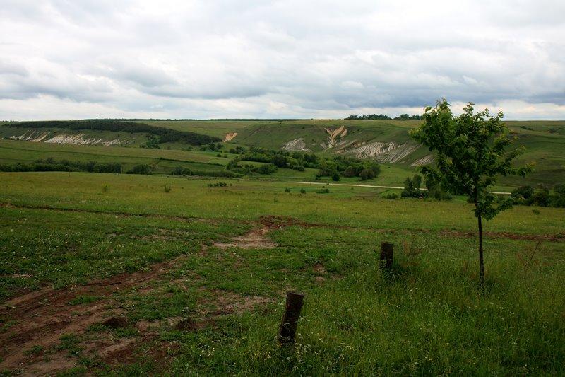 Старий Тараж з panoramio.com - Старий Тараж