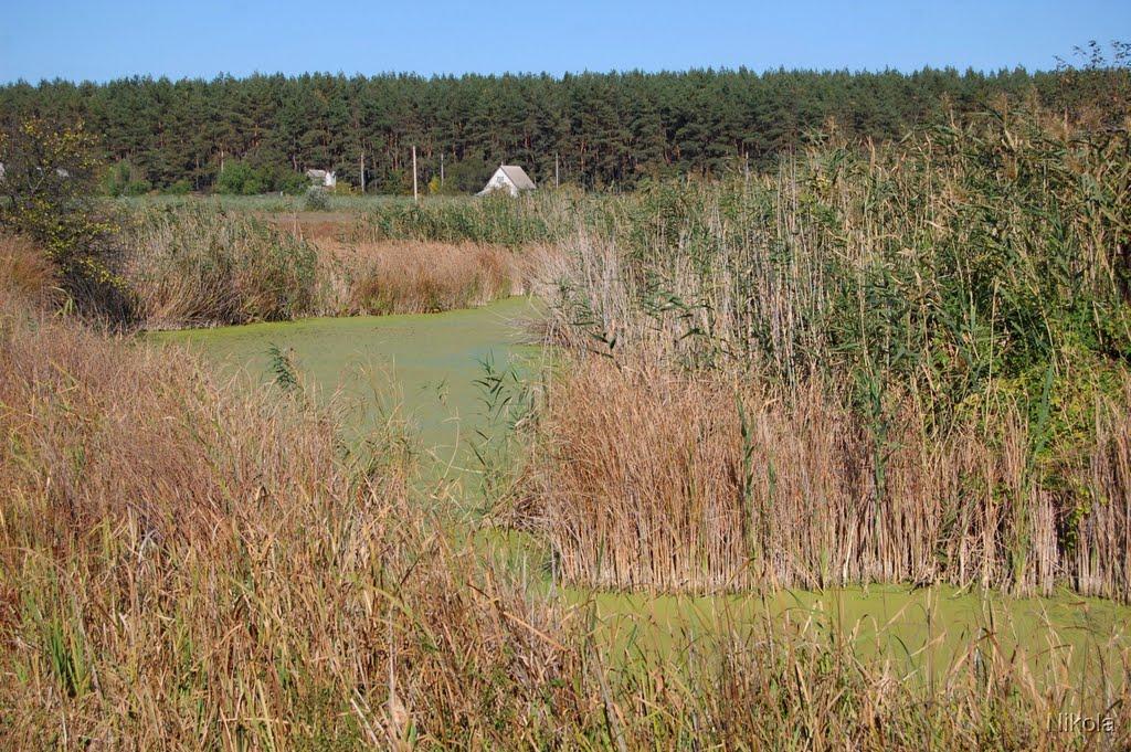 Сиротине з panoramio.com - Сиротине