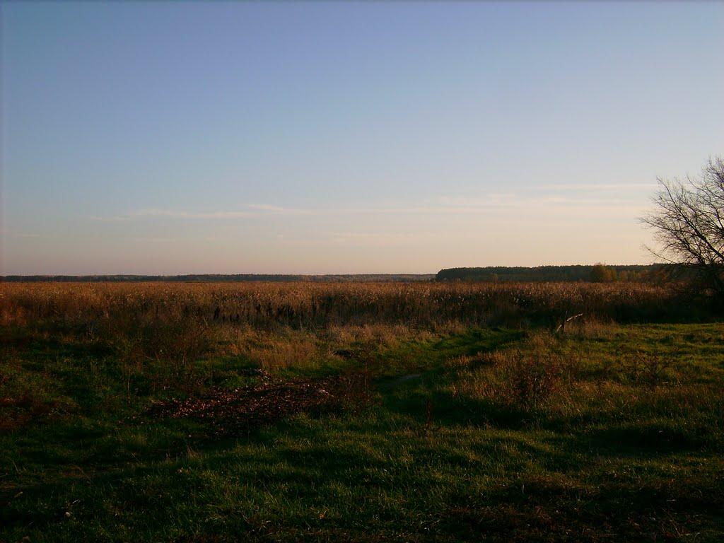 Козлів з panoramio.com - Козлов