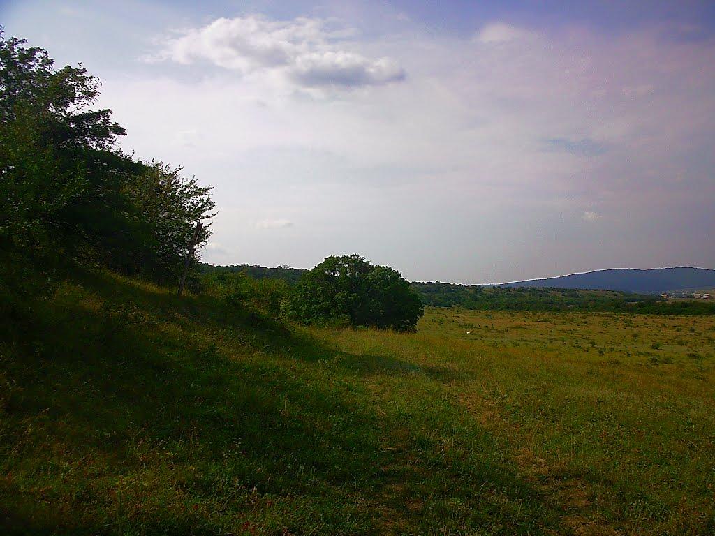 Краснолісся з panoramio.com - Краснолісся