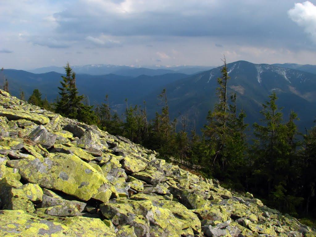 Осмолода з panoramio.com (ч.2) - Осмолода