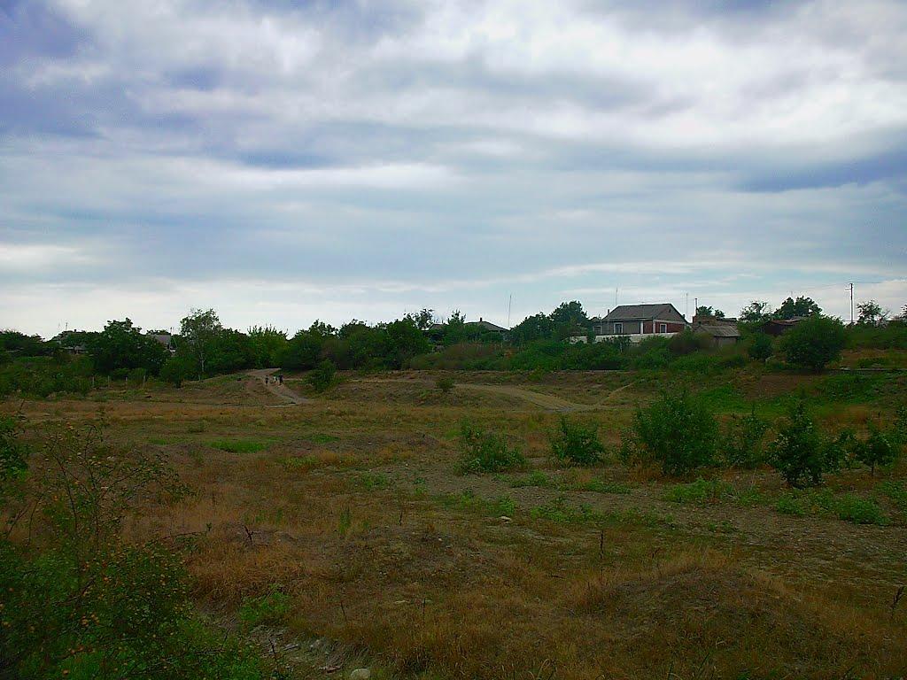 Шевченкове з panoramio.com - Шевченково