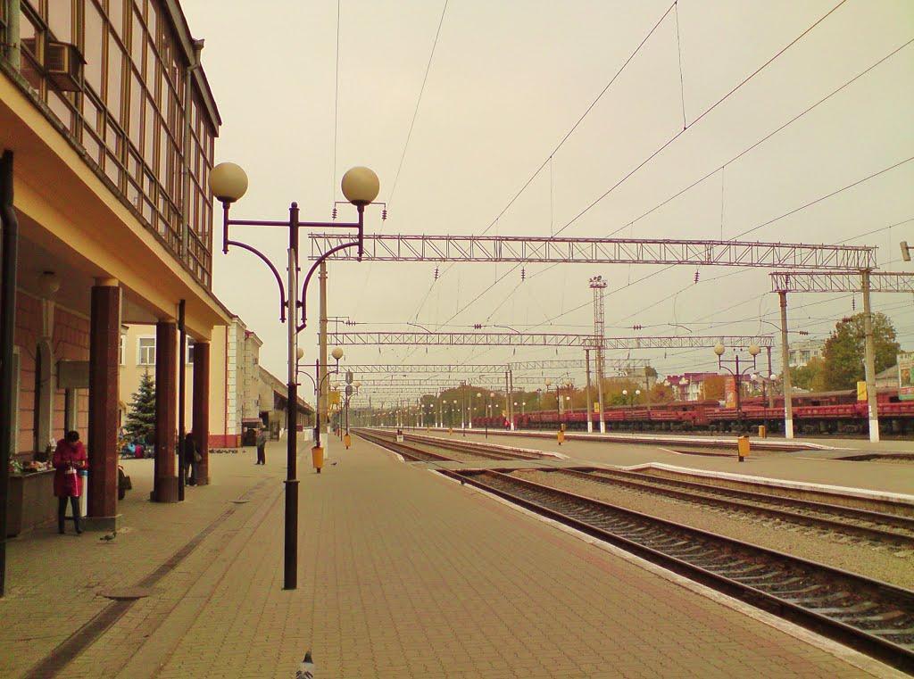 Петриків з panoramio.com (ч.2) - Петриків