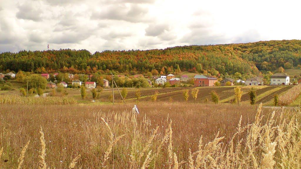 Лісники з panoramio.com - Лісники