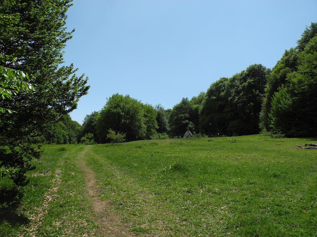 Генеральське з panoramio.com (ч.3) - Generalske