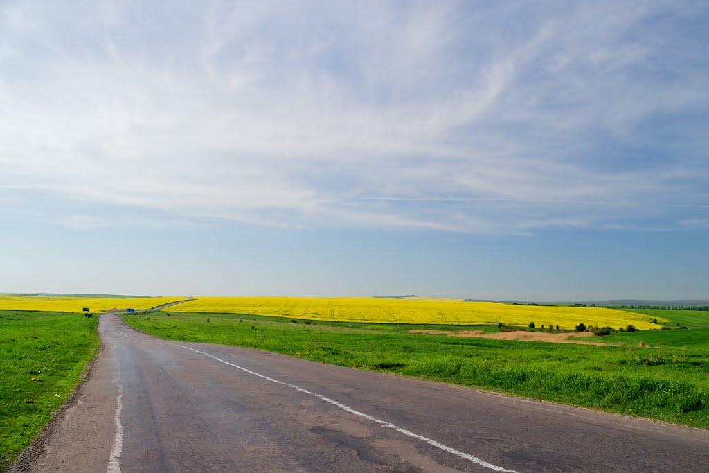 Нові Стрілища з panoramio.com - Нові Стрілища