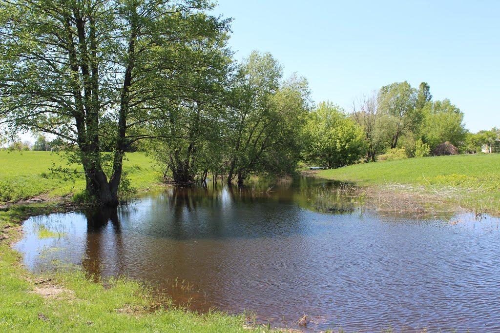 Дешки з panoramio.com - Дешки