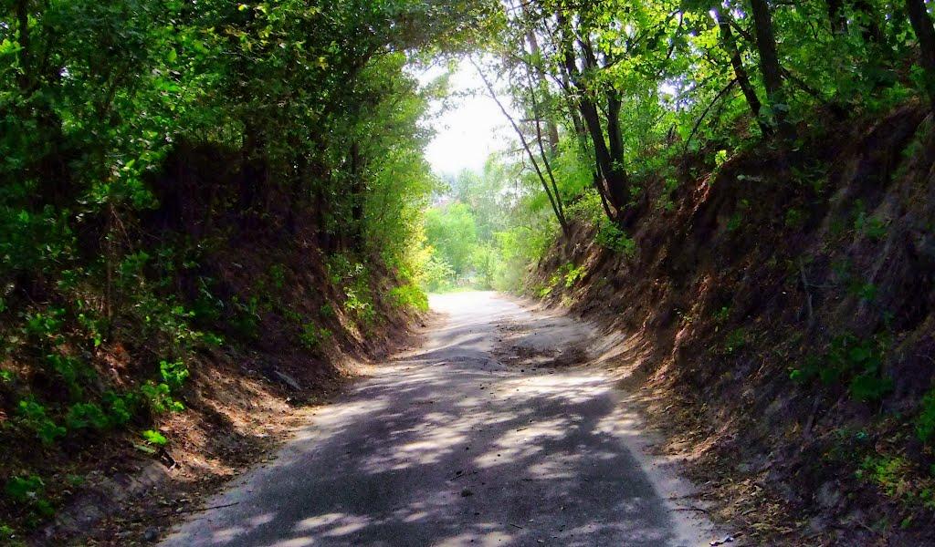 Гнідин з panoramio.com (ч.3) - Gnidyn