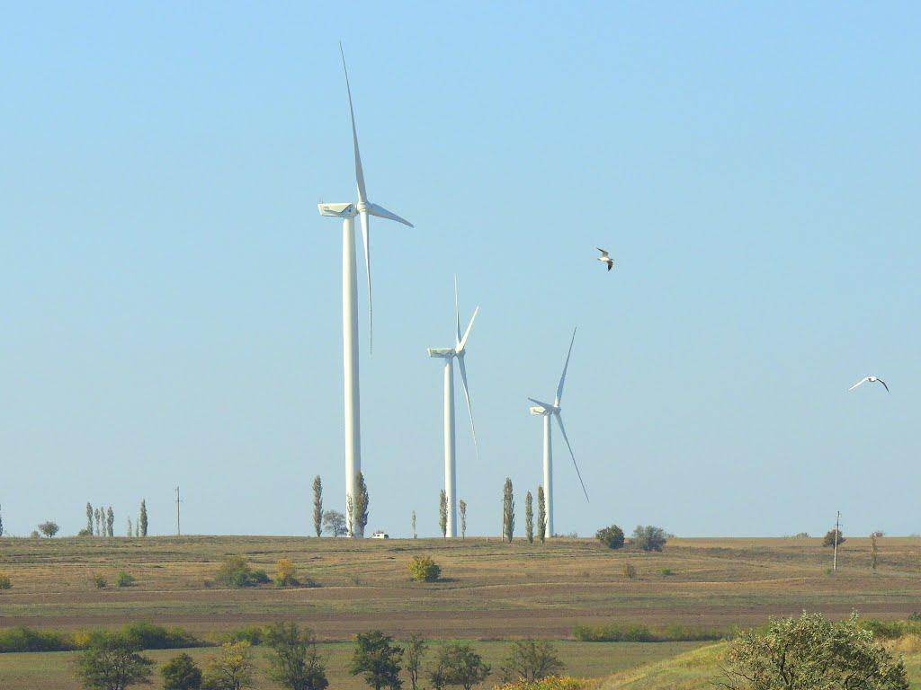 Солончаки з panoramio.com - Солончаки