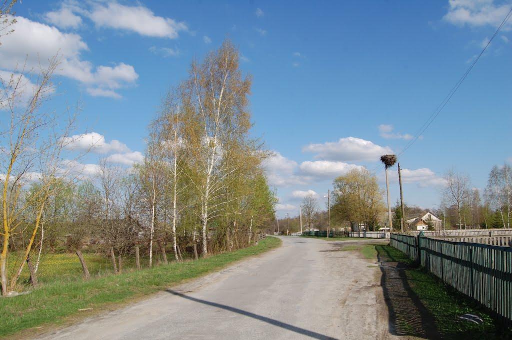 Рудня-Новенька з panoramio.com - Рудня-Новенька