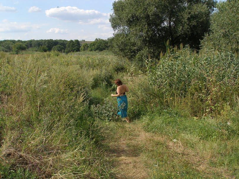 Литвинівка з panoramio.com - Литвиновка