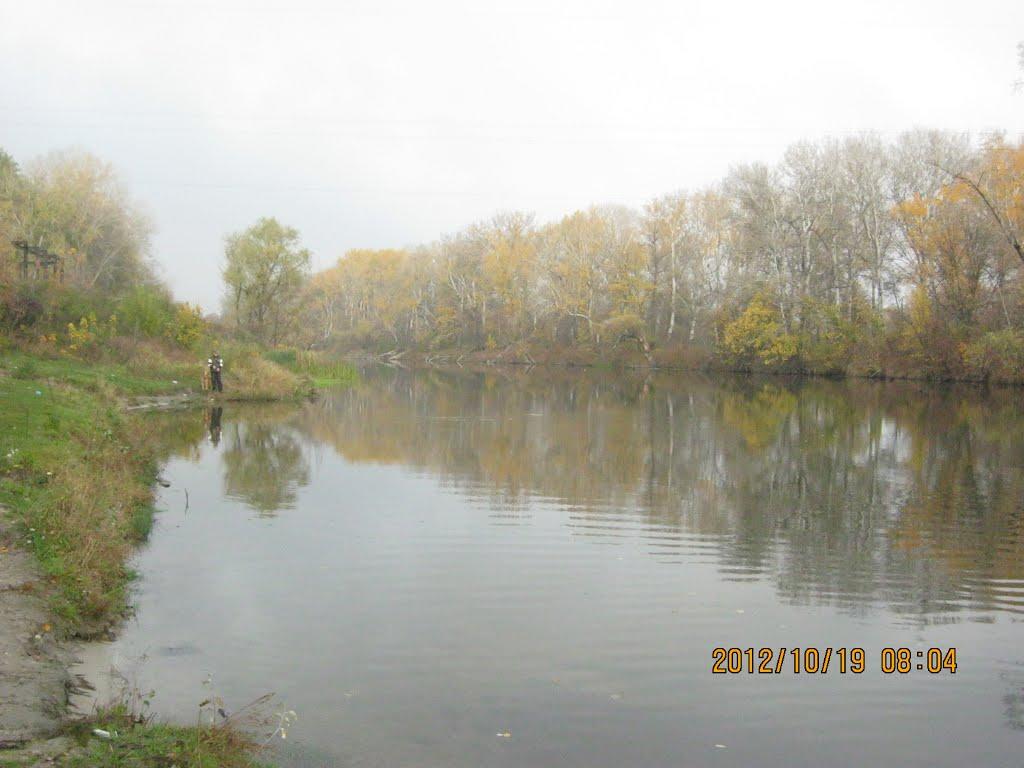 Богородичне з panoramio.com - Богородичне