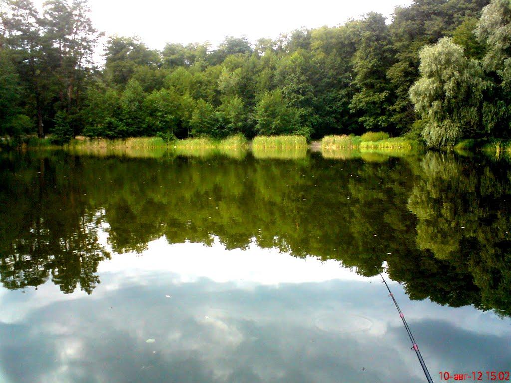 Святогірськ з panoramio.com - Святогорск