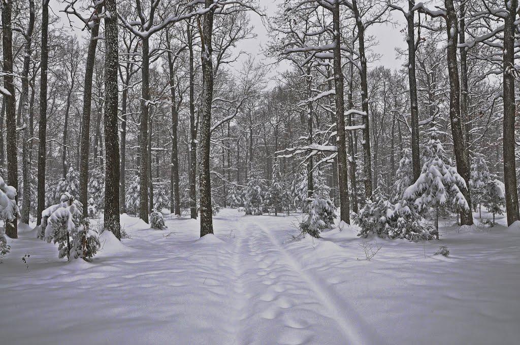 Калинівка з panoramio.com - Калинівка