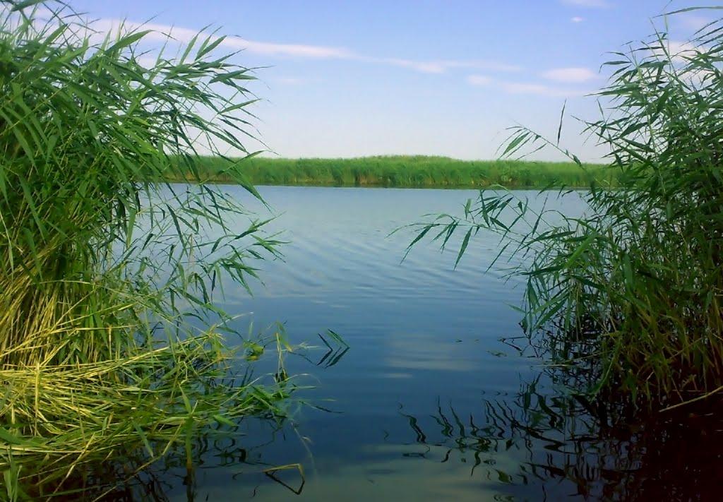Новомосковськ з panoramio.com (ч.3) - Новомосковск