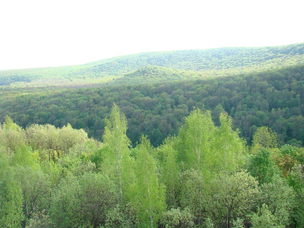 Іванківці з panoramio.com - Ivankivtsi