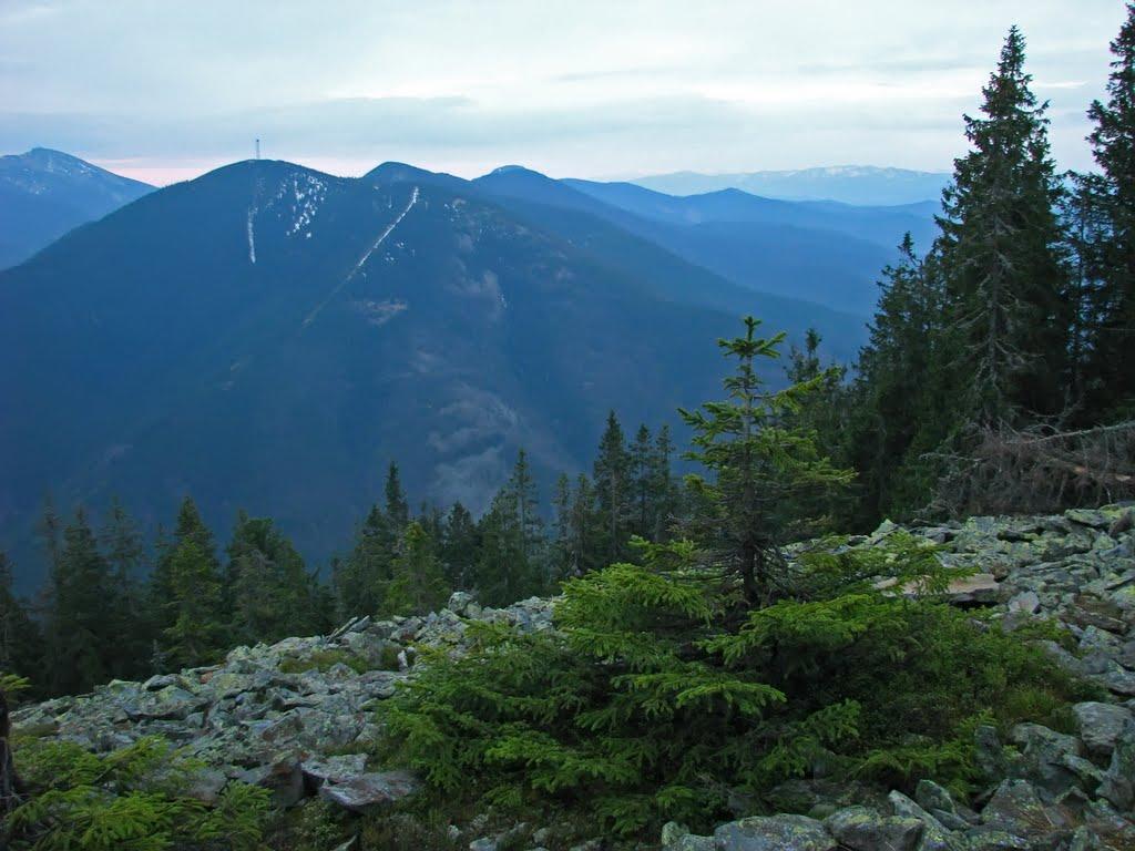 Осмолода з panoramio.com (ч.2) - Осмолода