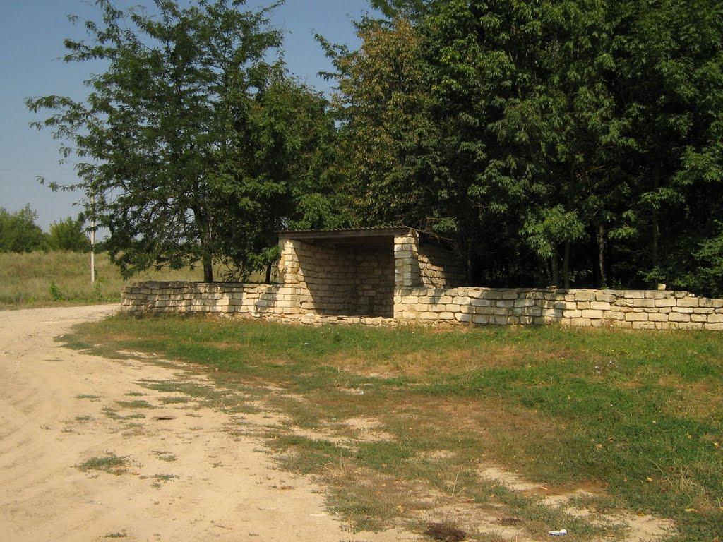 Гонорівка з panoramio.com - Гонорівка