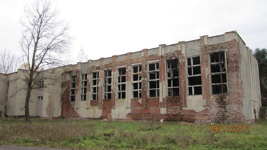 Воля-Старицька з panoramio.com - Воля-Старицька